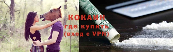 шишки Тольятти