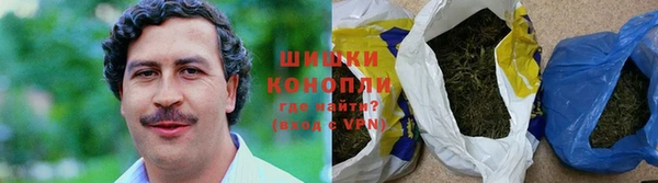 индика Ижевск