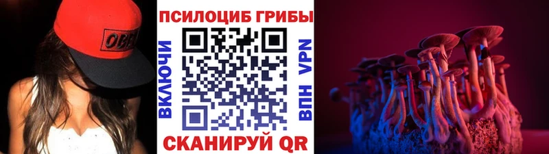 купить  цена  Мегион  Галлюциногенные грибы мухоморы 