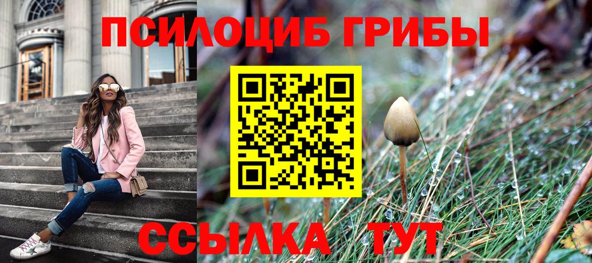 Мегион  Галлюциногенные грибы Psilocybe  Вход с VPN  Галлюциногенные грибы прущие грибы 