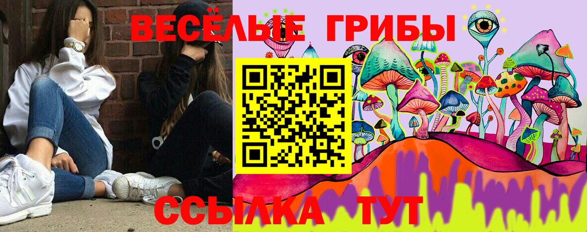 Псилоцибиновые грибы Psilocybine cubensis Мегион